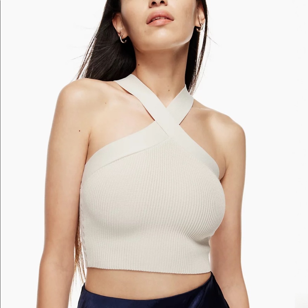 Aritzia Babaton Lexicon Crop Tank
